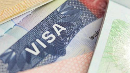 yagona 30 kunlik turistik viza joriy etiladi 660bce152048a