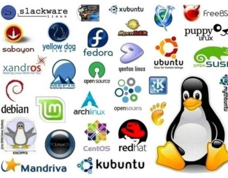 gnu linux distributivlari haqida 67c6d7fe916a6