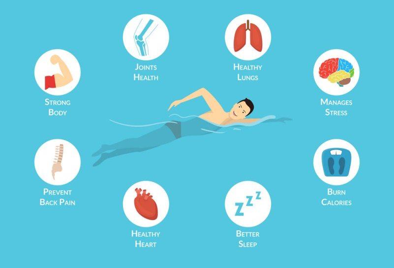 Sutli qushqo‘nmasning foydalari nimalardan iborat 4 Suzishning Foydalari Nimalardan Ibоrat?